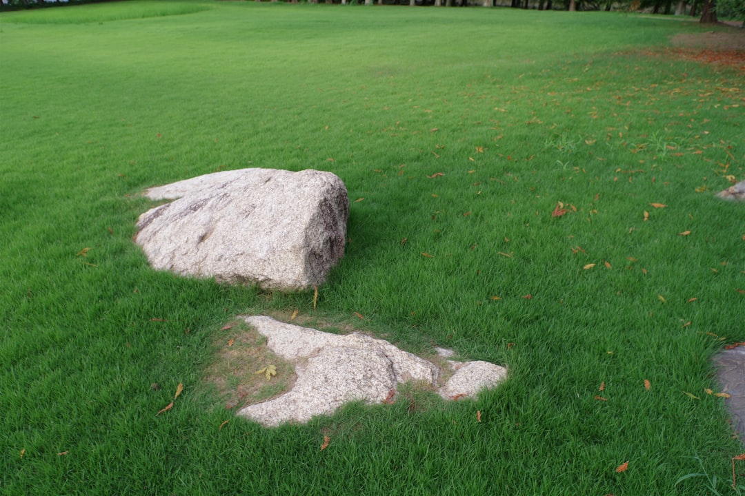 Il vento scompatta il mio colpo: è un colpo valido?