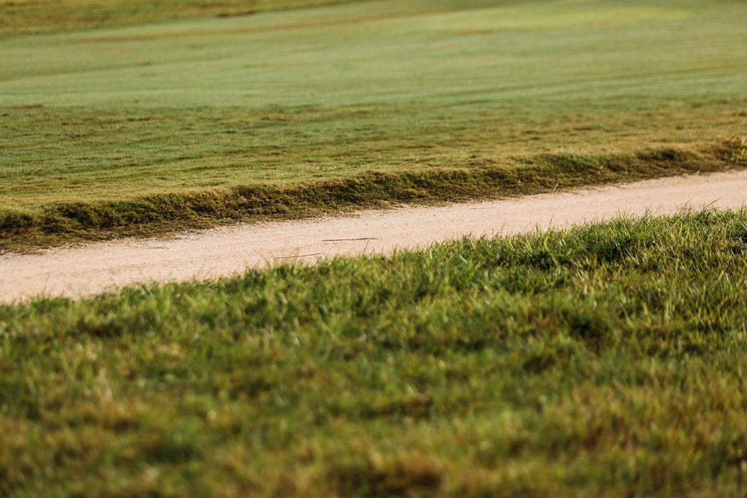 I Migliori Magliette da Golf 2026: Quale Stile Fa La Lista?
