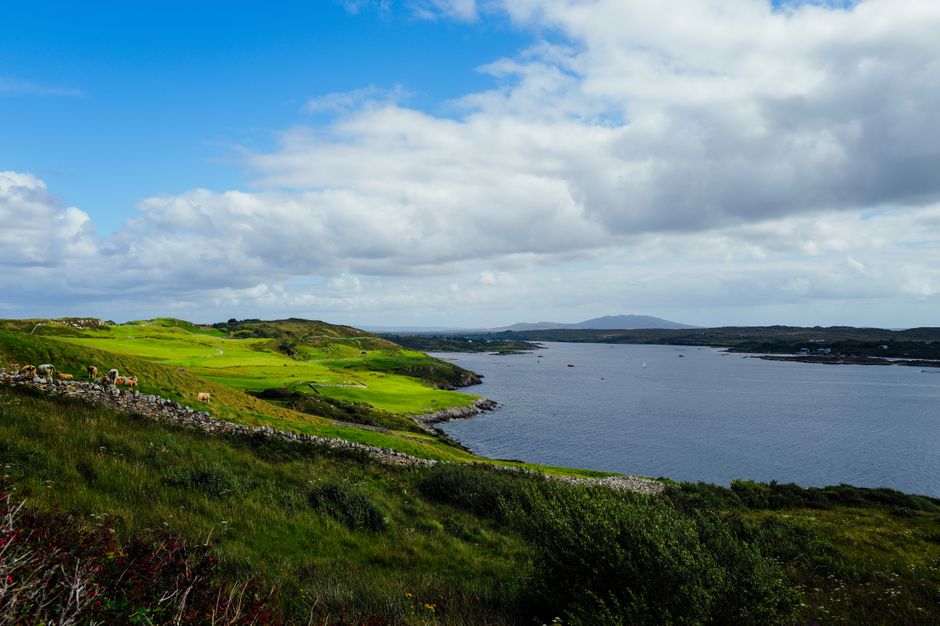 Il nuovo gioiello a cinque stelle d'Irlanda: The Hawthorn at Galway Bay