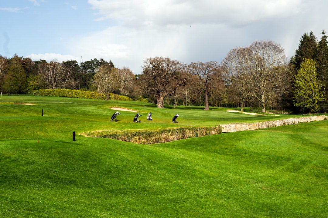 Le migliori borse a mano per carri da golf 2026: la tua guida per il miglior equipaggiamento