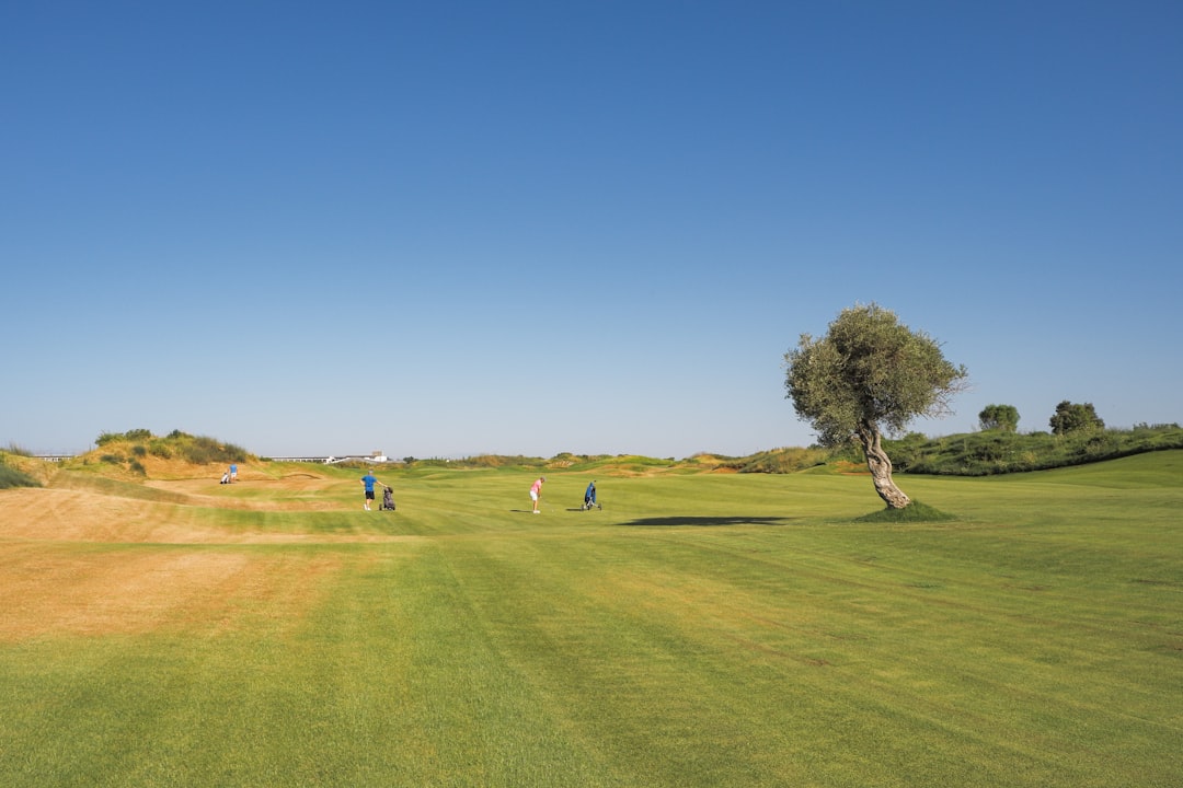 La regola della palla persa: un golfo italiano privato del posto ai playoff