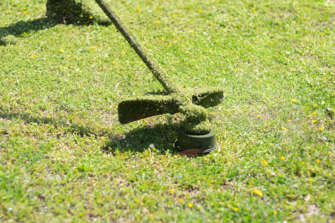 I nuovi Payntr X-003 F: Scarpe da golf di alta qualità a un prezzo irrisorio