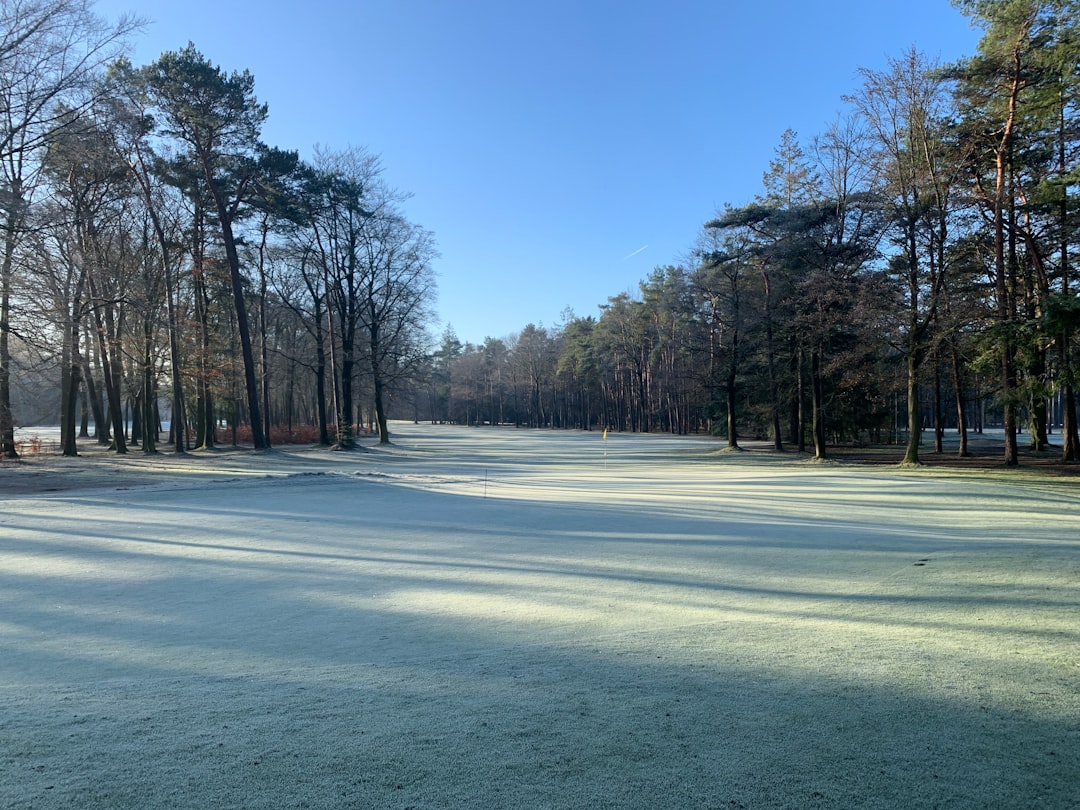 I Migliori Maglioni da Golf per l'Inverno 2026: Scopri le Novità!