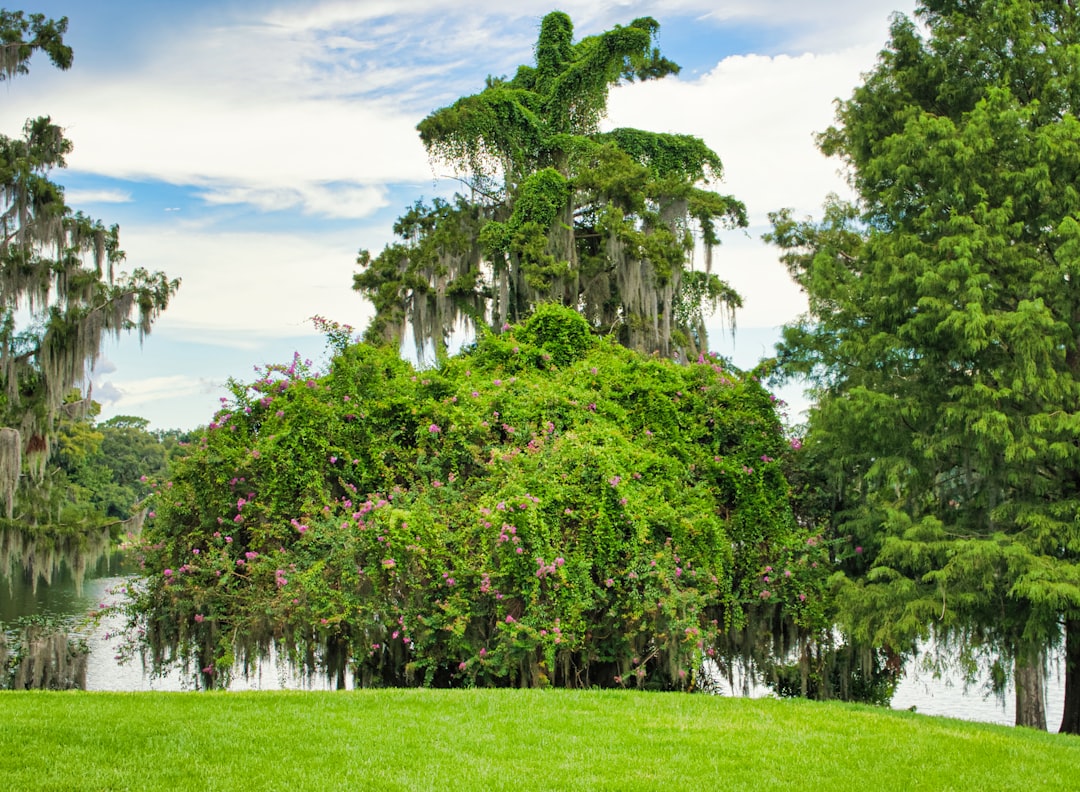 Sorpresa a Orlando: ecco le novità del PGA Show 2026!