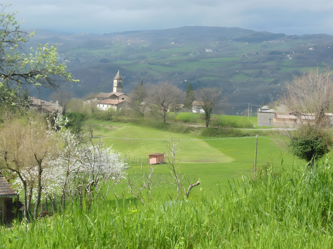 I Migliori Zip al Quadrato per Golf del 2026: Scopri le Sostituzioni Perfette per la Tua Uniforme